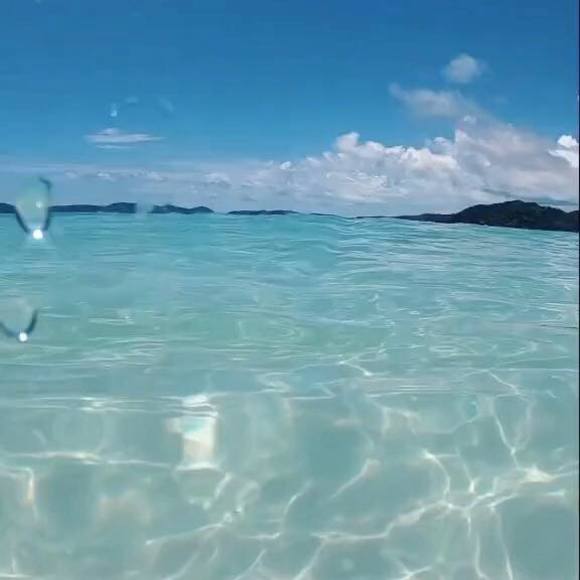 Meet your Posher, Yoel - Picture 1 of 1